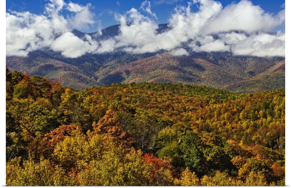 Autumn view of Southern Appalachian Mountains from Blue Ridge Parkway, near Grandfather Mountain, North Carolina