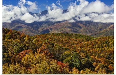 Autumn view of Appalachian Mountains from Blue Ridge Parkway, North Carolina