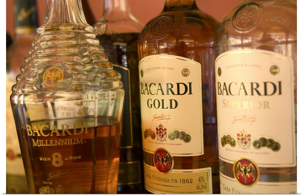 BAHAMAS-New Providence Island-Coral Harbour:.Bacardi Rum Factory -.Premium Rums / Rum Tasting