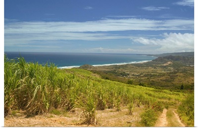 Barbados, North East Coast, Cherry Tree Hill