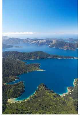 Bay of Many Islands, Queen Charlotte Sound, South Island, New Zealand