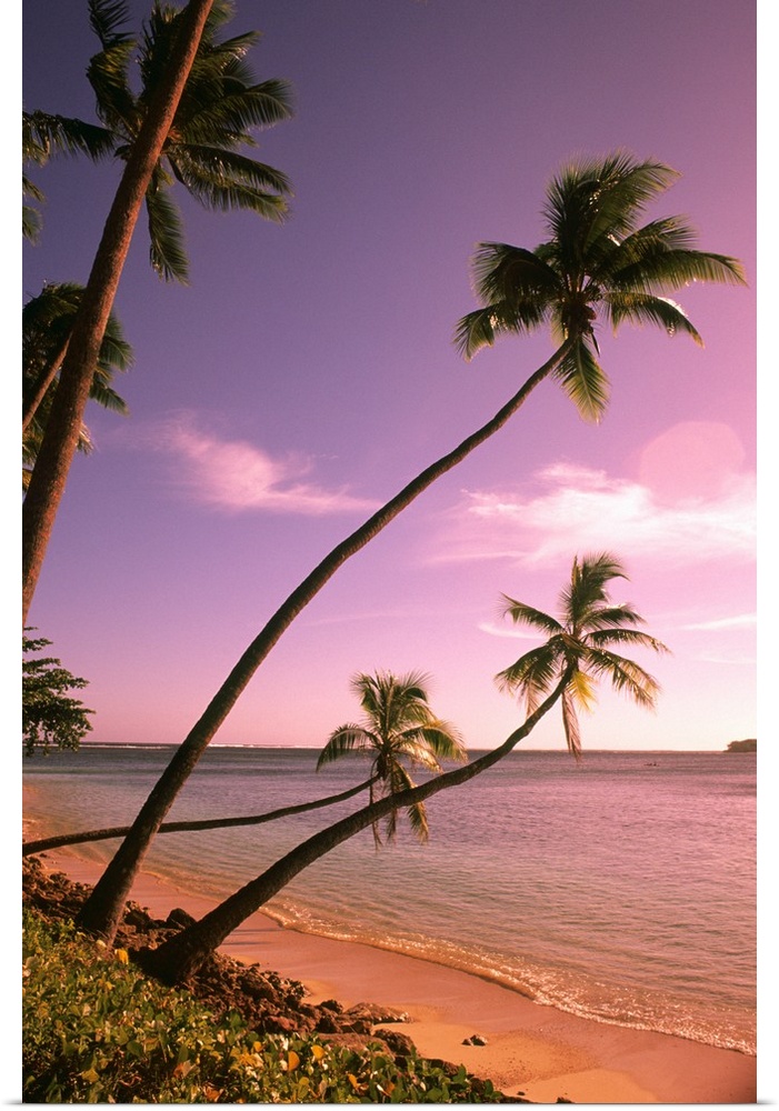 Beautiful Beach and Palms Nadi Bay Area in the Fiji Islands.