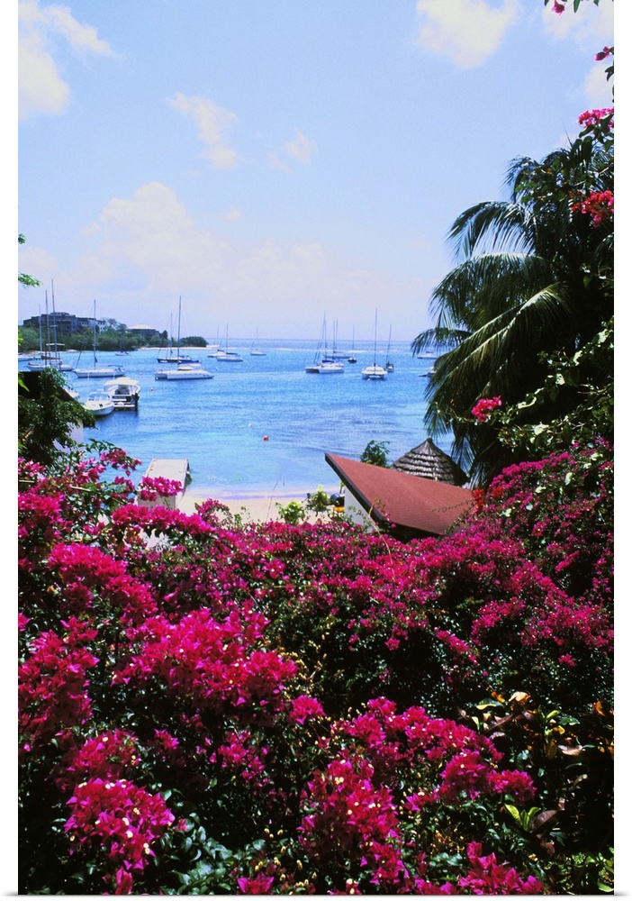 Beautiful flowers and boats of Sunsail Lagoon in St. Vincent and the Grenadines.
