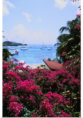 Beautiful flowers and boats of Sunsail Lagoon in St. Vincent and the Grenadines