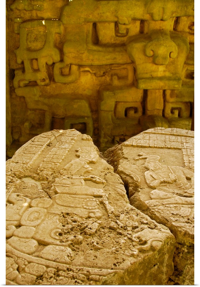 Central America, Belize, Chiquibul Forest Reserve, Caracol. Stone carvings of Altar 12. Caracol, Spanish for snail, named ...