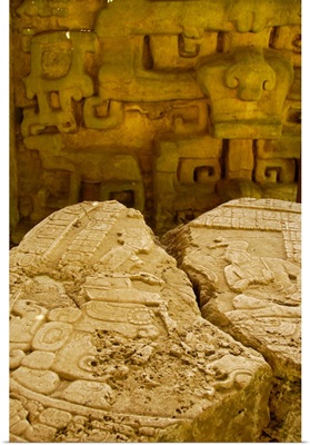 Belize, Caracol, stone carvings of Altar 12, ruins of Classic Period Mayan civilization