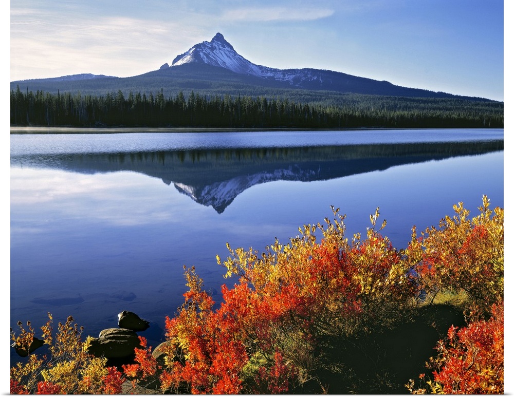 USA, Oregon, Big Lake and Mt Washington. Huckleberry leaves are touched by the orange of autumn, with Big Lake and Mt Wash...