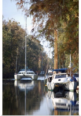 Boating on the Dismal Swamp Canal, Camden County, North Carolina