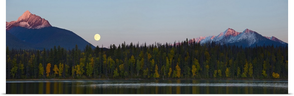 Canada, British Columbia, Bowron Lakes Provincial Park. Panorama of autumn color on Unna Lake, with full moon at sunset an...