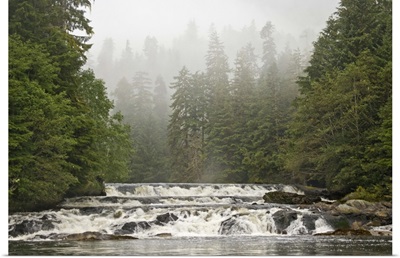 British Columbia, Princess Royal Island, Canoona River waterfalls next to misty forest