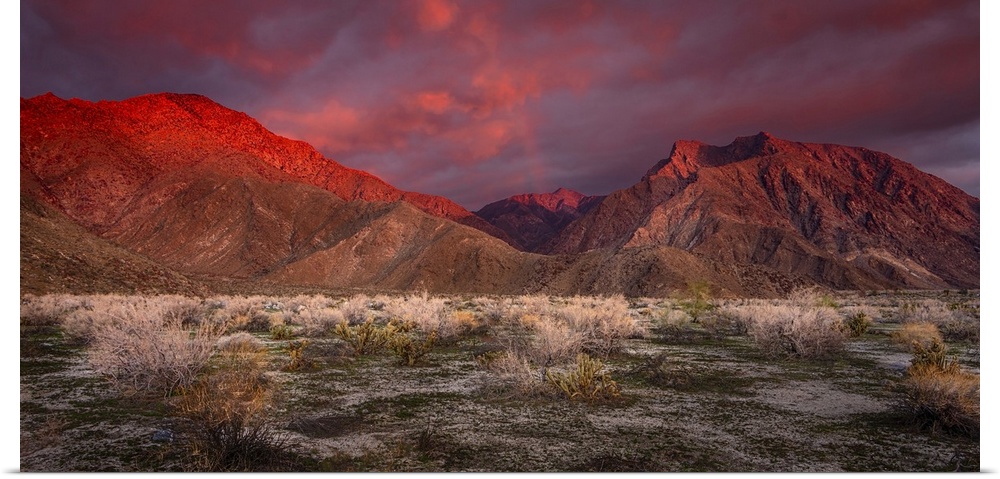 USA, California, Anza-Borrego Desert State Park. Desert landscape and mountains at sunrise.