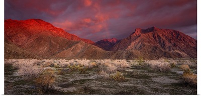 California, Anza-Borrego Desert State Park, Desert Landscape And Mountains At Sunrise
