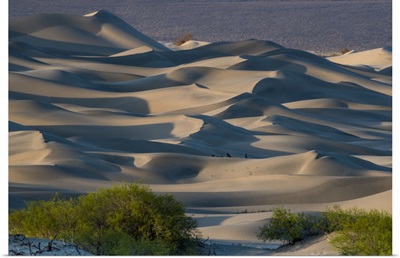 California, Death Valley National Park, Mesquite Dunes