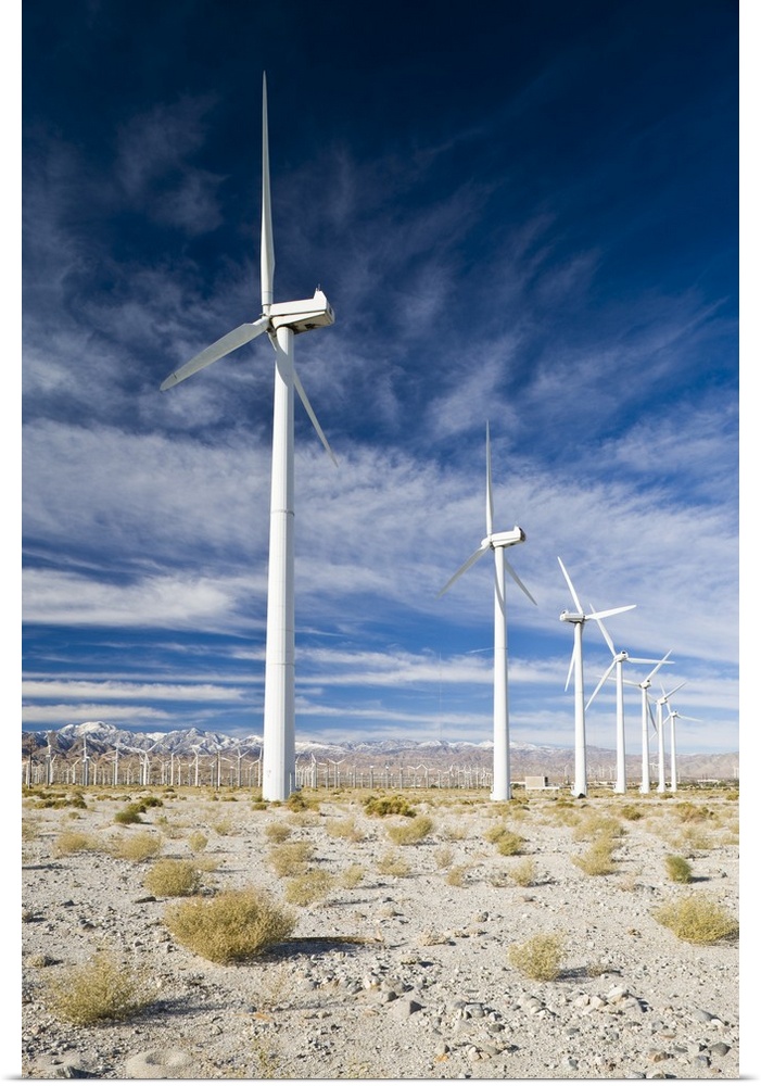 USA, California, Palm Springs. Windmill Farm along North Indian Canyon Drive.