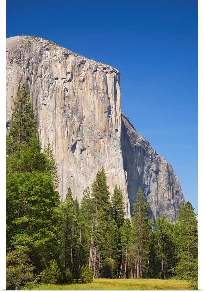 California, Yosemite National Park, El .Capitan