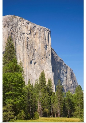 California, Yosemite National Park, El Capitan