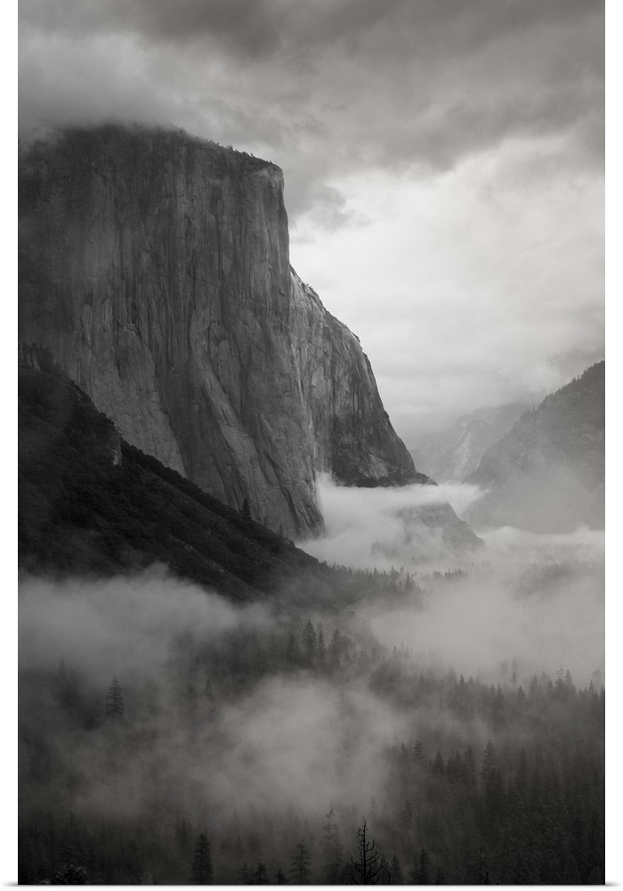 North America, USA, California, Yosemite National Park.  Black and White image of El Capitan with swirling mist through th...