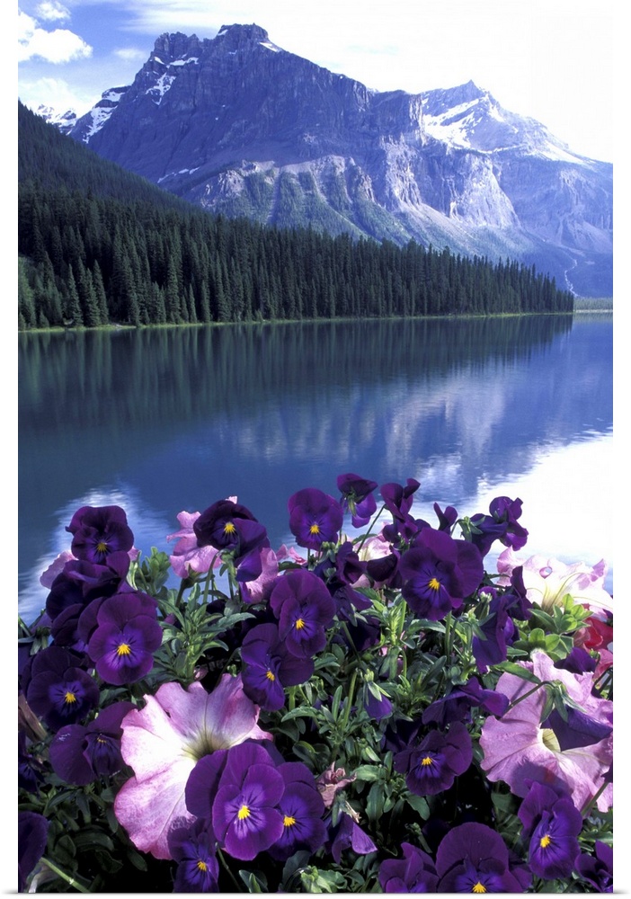 NA, Canada, Alberta, Banff National Park.Pansies and Emerald Lake
