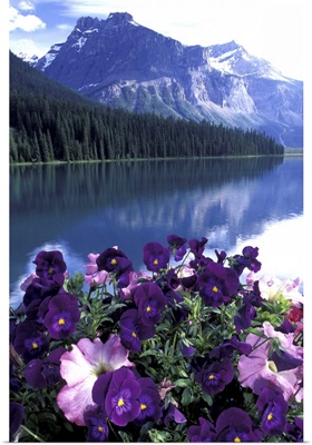 Canada, Alberta, Banff National Park. Pansies and Emerald Lake