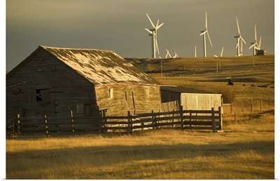 Canada, Alberta, Crowsnest Pass Area, Cowley Ridge Wind Farm