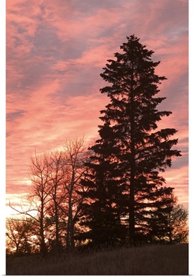 Canada, Alberta, Edmonton, Dramatic Sunrise from Forest Heights Park