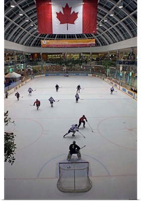 Canada, Alberta, Edmonton, West Edmonton Mall, Ice Palace, Mall Hockey Rink