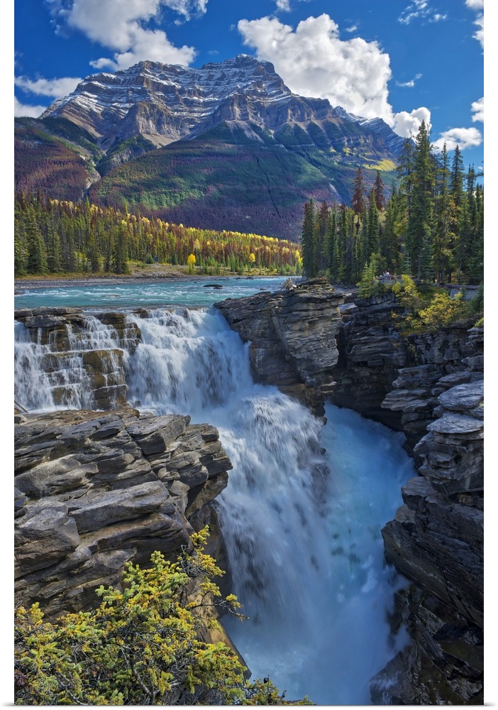 Canada, Alberta, Jasper national park. Athabasca river at Athabasca falls.