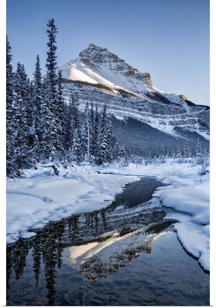 Canada, Alberta, jasper national park, tangle peak reflected in beauty creek.