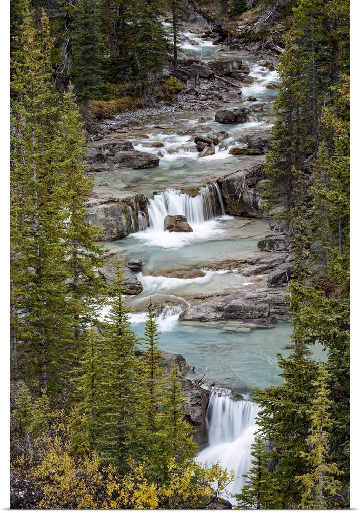 Canada, Alberta, Nigel Creek, Banff National Park