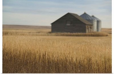 Canada, Alberta, Rosebud, Grain Barn, Wheat Farm