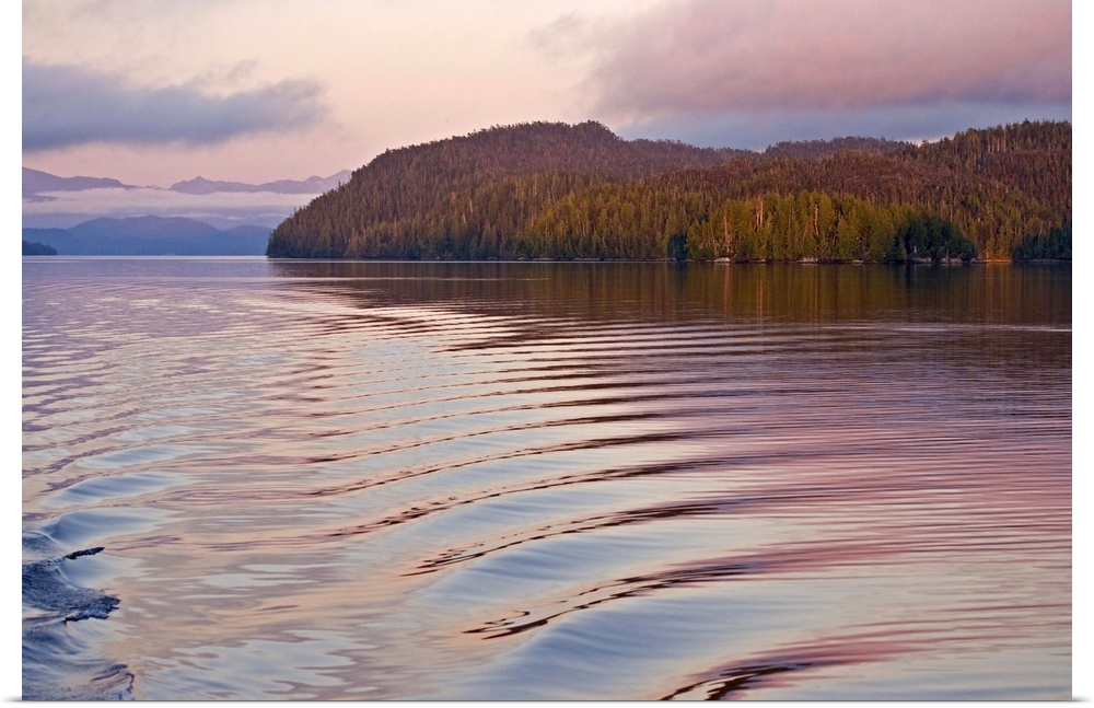 Canada, British Columbia, Calvert Island. Boat wake in water at sunset. Credit as: Don Paulson / Jaynes Gallery / DanitaDe...