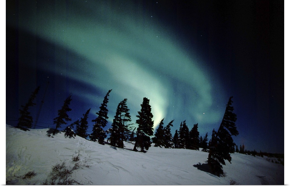North America - Canada - Manitoba - Churchill. Northern Lights aka Aurora Borealis.