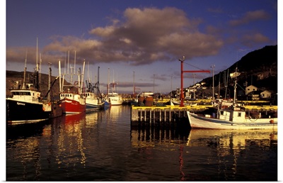 Canada, Newfoundland, St. John's. Boats in St. John's Harbor