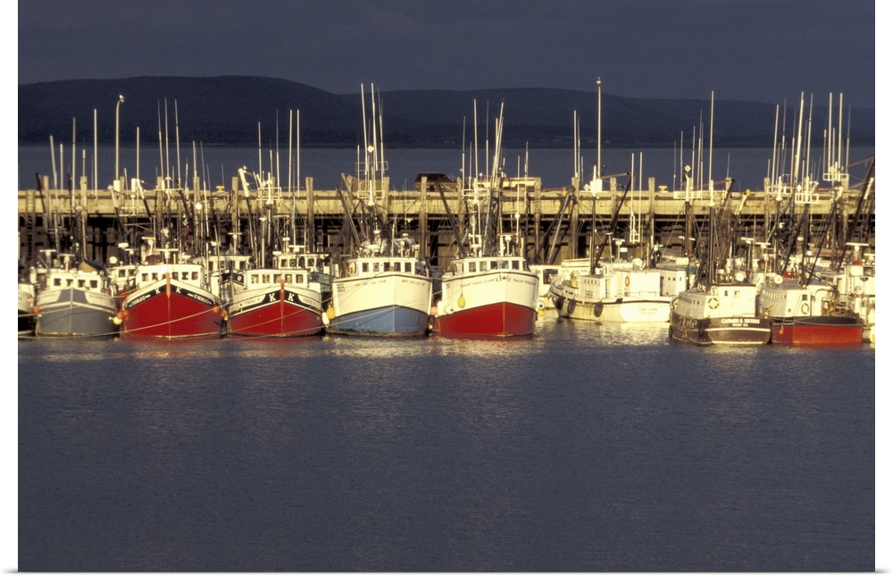 NA, Canada, Nova Scotia, Digby.Digby scallop fleet