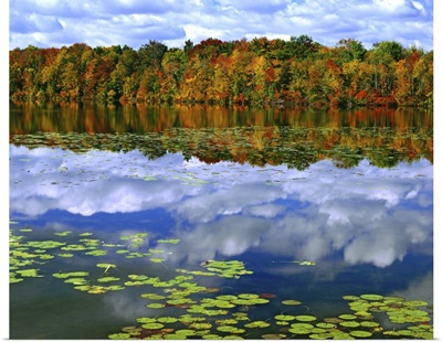 Canada, Ontario. Autumn-colored trees reflect in Park Haven Lake