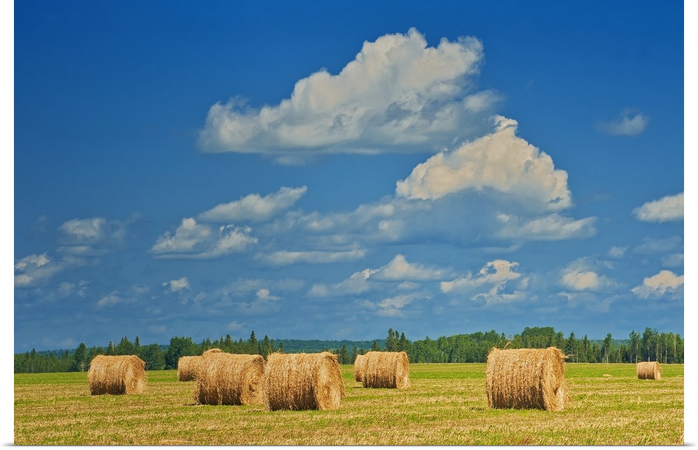 Canada, Ontario, New Liskeard. Hay bales in farm field.