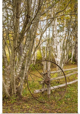 Canada, Prince Edward Island, Orwell, Wagon Wheel And Birch Trees