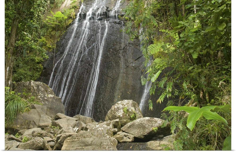 Caribbean, Puerto Rico, El Yunque rain forest, Caribbean National Forest. La Coca Falls.