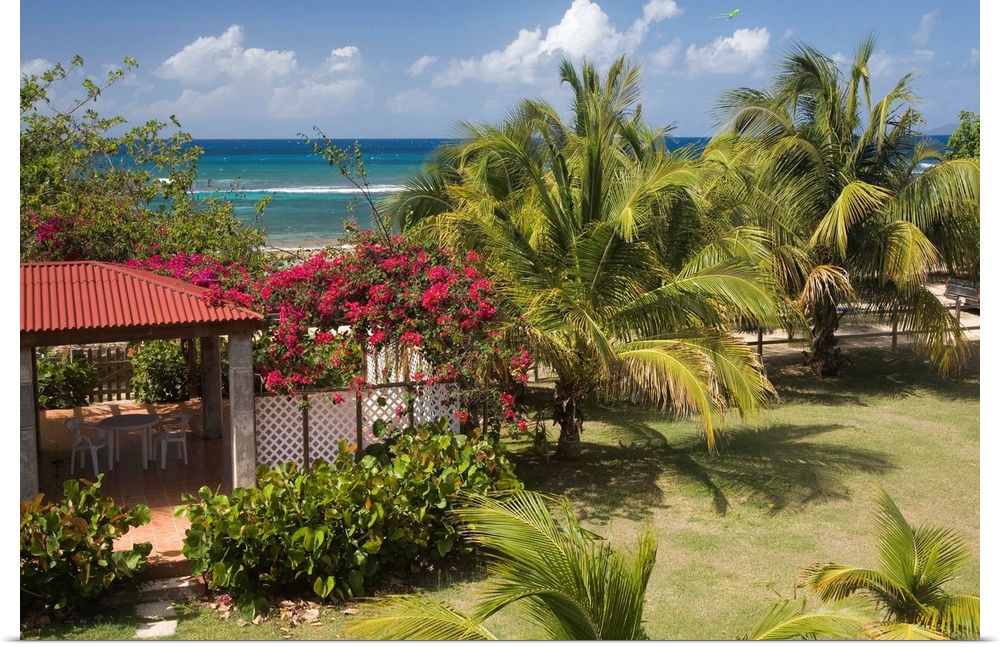 Caribbean, Puerto Rico, Vieques.  Caribbean, garden and palm trees, viewed from porch of house/hotel.  PR
