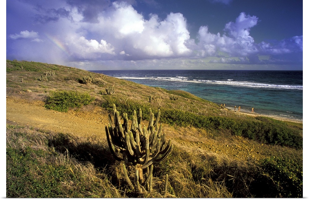 Caribbean, US Virgin Islands, St. Croix, Point Udall. Point seascape with rainbow