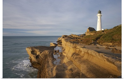 Castle Point Lighthouse, Castlepoint, Wairarapa, North Island, New Zealand