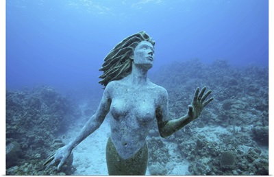 Cayman Islands, Grand Cayman Island, mermaid sculpture in shallow coral reef