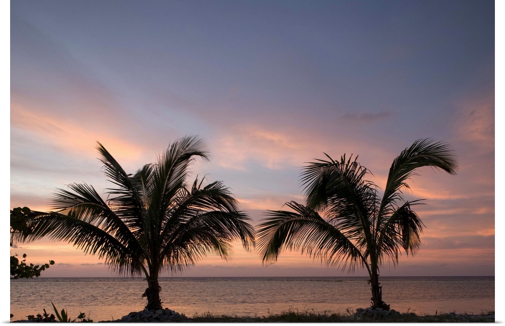 Cayman Islands, Little Cayman Island, Silhouette of palm trees as sunset lights clouds above Caribbean Sea