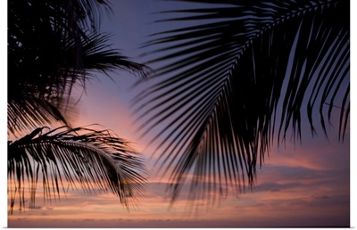 Cayman Islands, Little Cayman Island, palm trees at sunset