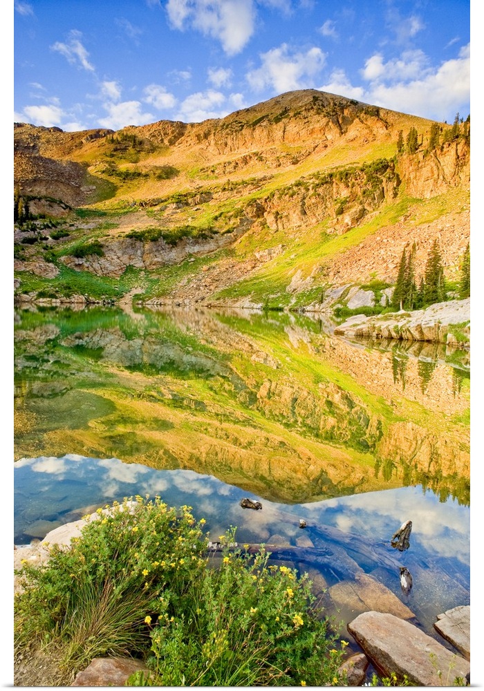 Cecret Lake at Sunrise, Sugarloaf Mountain and reflection, near Alta Ski Resort and Salt Lake City, Uinta-Wasatch-Cache Na...