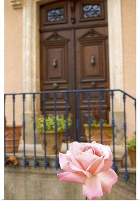 Chateau Mansenoble, In Moux, Les Corbieres, Languedoc, A Door, Rose Flower, France