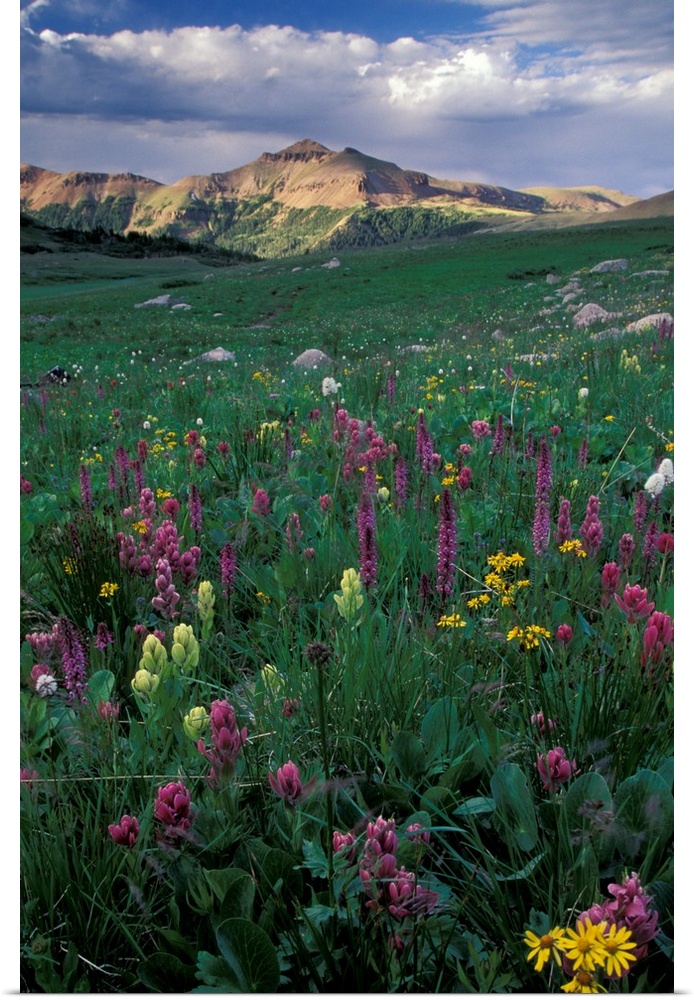 North America, USA, Colorado, American Lakes Wilderness. Landscape