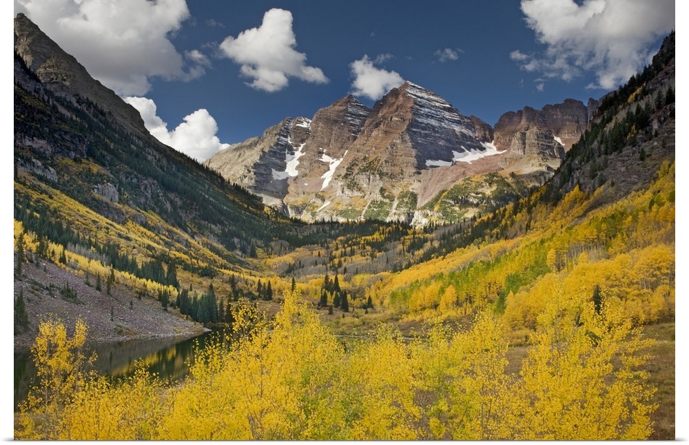 USA, Colorado, Maroon Bells State Park. Aspen trees in autumn color. Area