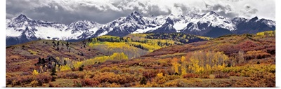 Colorado, San Juan Mountains. Autumn foliage at Dallas Divide