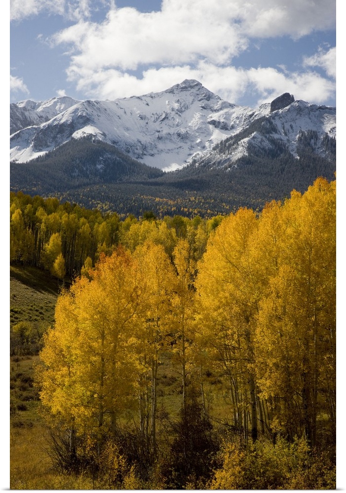USA, Colorado, San Juan Mountains, Uncompahgre National Forest. Fresh snow on North Pole Peak after an autumn snowstorm.